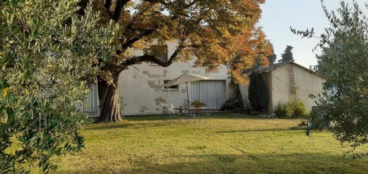 Le Petit Mas En Provence Avec Piscine Vila Barbentane Exterior foto